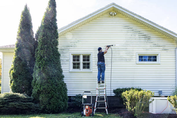 Professional Pressure Washing Services in Pioneer, CA